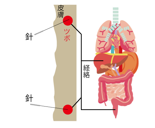 気血、東洋医学、中国医学